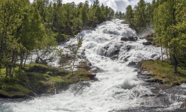 Hótel á svæðinu Laerdal