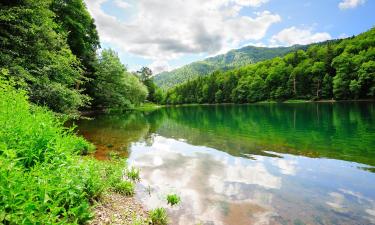 Biogradska Gora National Parkのシャレー