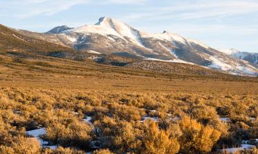 Hotele w regionie Great Basin National Park