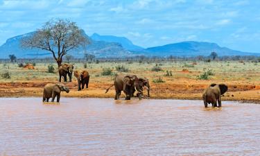 Hotel di Tsavo East National Park 