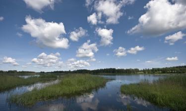 Lake Usma的露營地