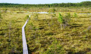 Hotele w regionie Soomaa National Park