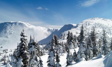 Auberges de jeunesse dans cette région : Big White