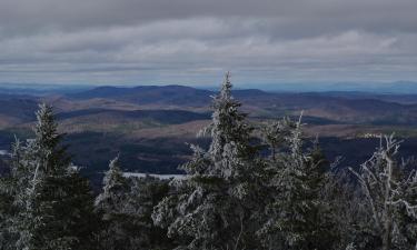 Pet-Friendly Hotels in Okemo Mountain