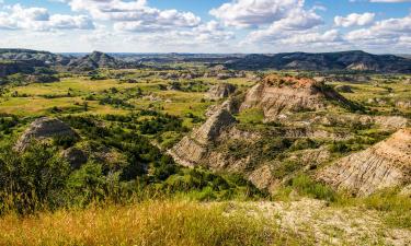 Theodore Roosevelt National Park的飯店