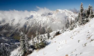 Hoteles en Alta-Snowbird