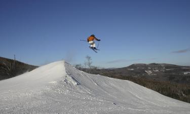 โรงแรมที่สัตว์เลี้ยงเข้าพักได้ในSugarbush