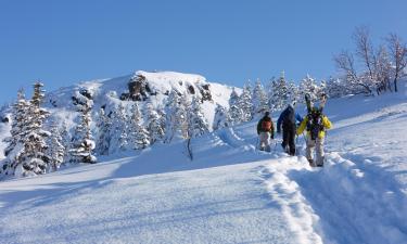 Holiday Rentals in Karpenision Ski