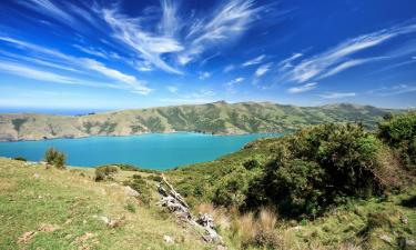 Pet-Friendly Hotels in Banks Peninsula