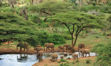 Cabins in Samburu National Reserve