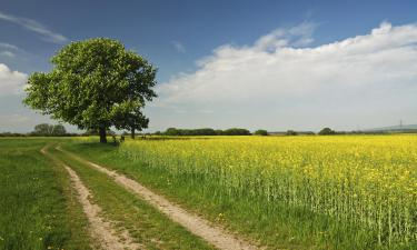 Hotels with Parking in Südburgenland