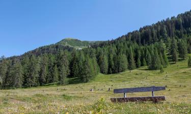 Cabane în Bad Kleinkirchheim