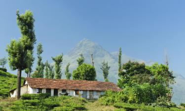 Hoteles en Distrito de Wayanad