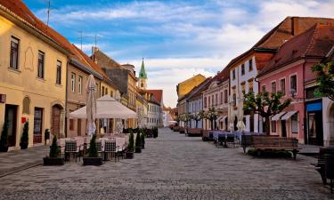 Hotels in der Region Gespanschaft Varaždin