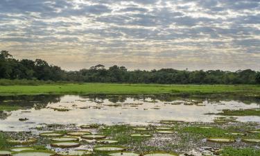 Hoteles en Mato Grosso del Sur