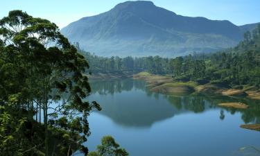 Hotel di Matale District