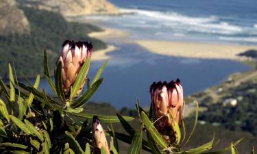 Hoteller i Garden Route