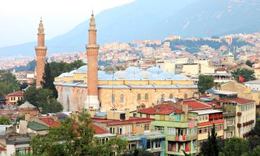 Hôtels dans cette région : Province de Bursa