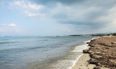 Costa degli Etruschi: campeggi