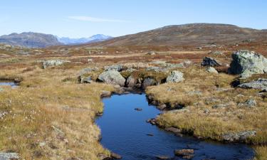 Cabañas en Tyin-Filefjell