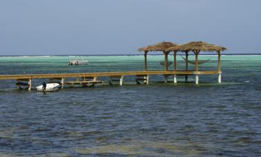 Little Cayman  otelleri