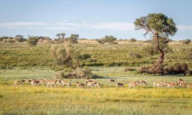 Hoteles en Postmasburg