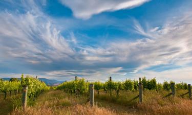 Hoteles en Marlborough