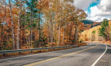 โรงแรมที่สัตว์เลี้ยงเข้าพักได้ในKancamagus Highway