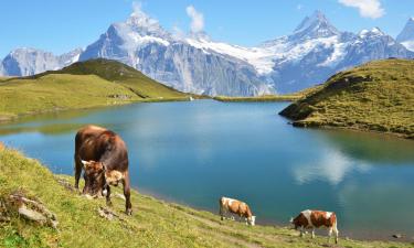 Hoteles en Los Alpes