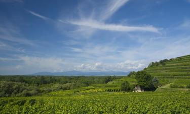 Hotels in der Region Baden-Württemberg