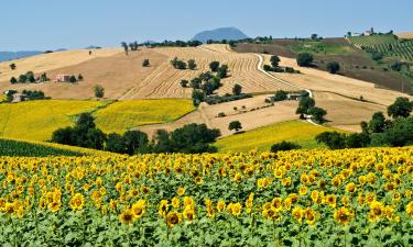 Hotels in Marche