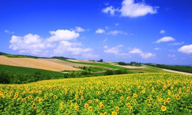 Khách sạn ở Hokkaido