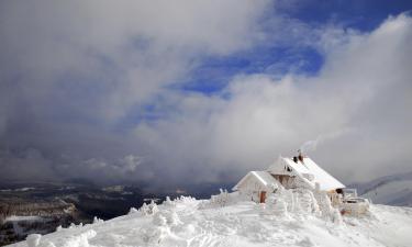 Hoteles en Zona de esquí de Jahorina