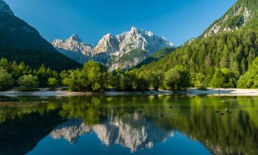 Хостелы в регионе Kranjska Gora 