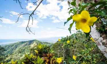 Hotele w regionie Puntarenas