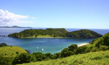 Pet-Friendly Hotels in North Island