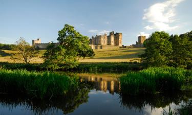 Pet-Friendly Hotels in Northumberland
