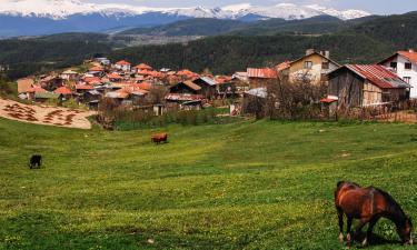 Hoteles en Montañas Ródope