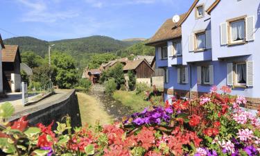 Hôtels dans cette région : Haut-Rhin