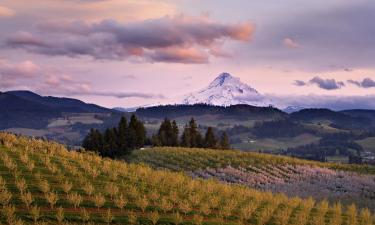 Oregon – hotely