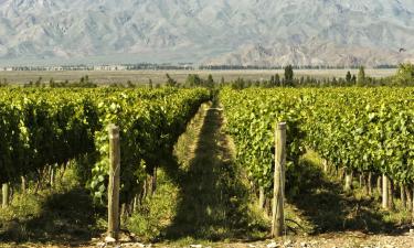 Chalets de montaña en Ruta del Vino de Mendoza