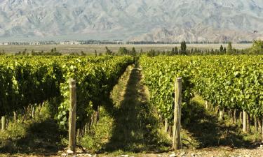 Hoteles boutique en Ruta del Vino de Mendoza