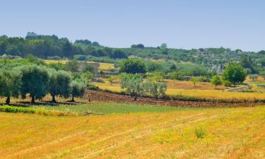 Farm Stays in Valle d'Itria