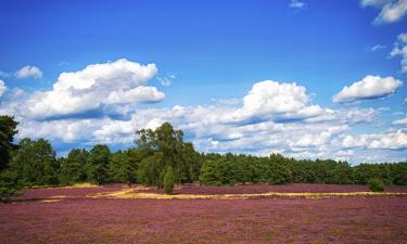 Hotels in der Region Lüneburger Heide