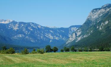 Hôtels dans cette région : Gorenjska (Haute-Carniole)