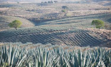 Villas in Jalisco