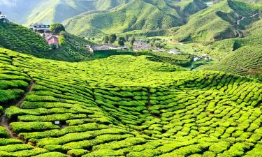 Habitaciones en casas particulares en Cameron Highlands