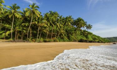 Hôtels dans cette région : District de Goa Sud