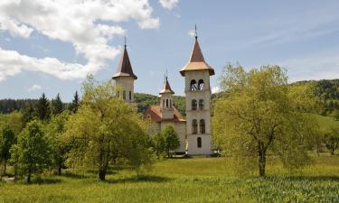 Hótel á svæðinu Suceava