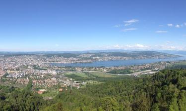 Cottages in Canton of Zurich